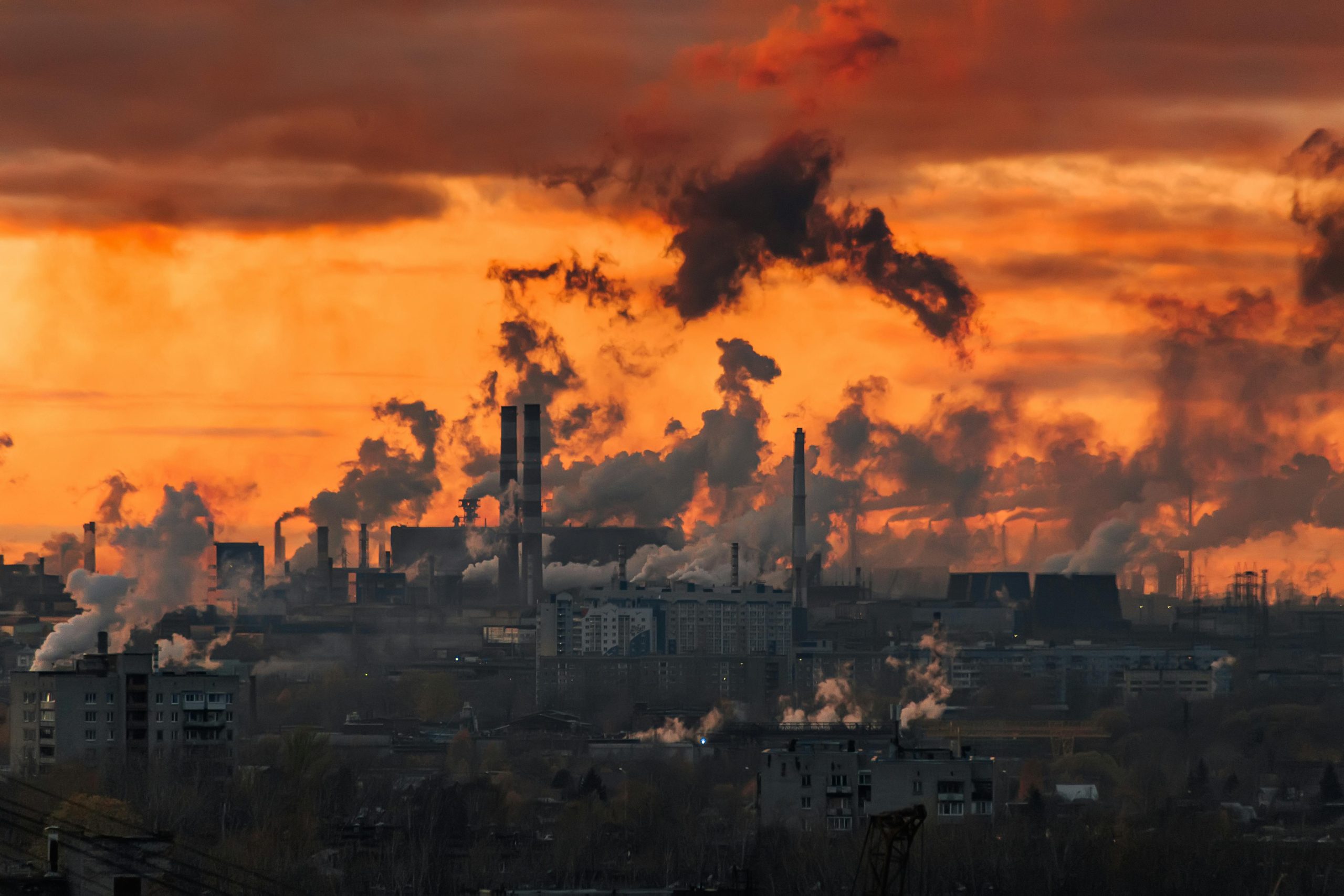 Carbon Border Adjustment Mechanisms